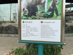 -灵玲国际马戏城