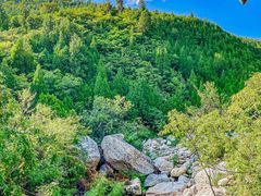 -禅宗少林·音乐大典