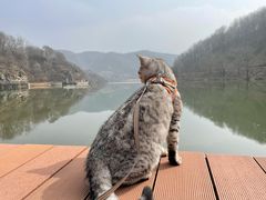 -玉渡山自然风景区