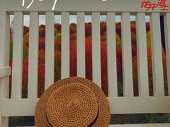 -花开海上生态园