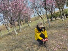 -漕湖湿地公园