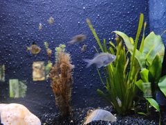 -上海海洋水族馆