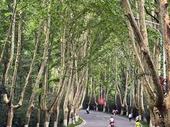 -WeLope紫金山探险公园