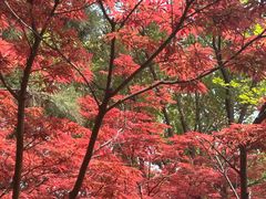 -长广溪湿地公园