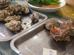 -渔民船说·北塘海鲜·天津菜·海肠捞饭(北塘古镇店)