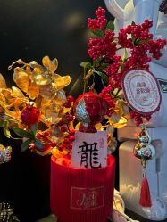 -玛莲朵·海菲秀冰珀科