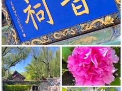 -晋祠公园