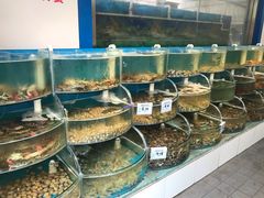 水产区-同道蒸汽海鲜烧烤自助(刘庄夜市店)