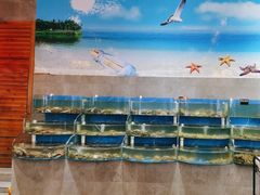 -蓝珊甄选海鲜自助·火锅大排档(近阿那亚店)