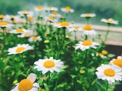 -想家粒科学探索中心(青林湾店)