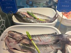 -老德州四合院·德州菜(天衢路店)