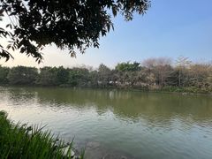 -海珠湖公园