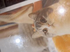 -瑞鹏·疫苗·绝育·宠物医院(金沙洲店)