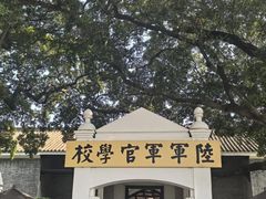 -长洲岛