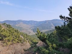 -金龙寺国家森林公园