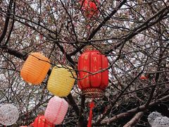 -三里河公园