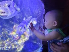 -中央电视塔旋转餐厅