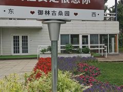 -御林古桑园