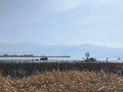 -西昌邛海湿地