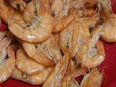 -好伦哥(温都水城店)