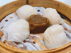 金牌虾饺皇-赏点粤式点心(广州塔店)