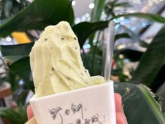 -野人先生Gelato(上海长宁龙之梦店)