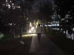 -四海公园(南山区)