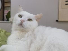 -SPECIALIZED闪电自行车(建国西路店)