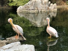 -昆明动物园