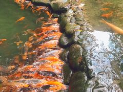 -千岛湖王子谷漂流