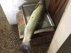 -溪悦渔庄(九龙湖店)