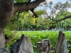 -莲池书院博物馆