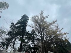 -径山寺