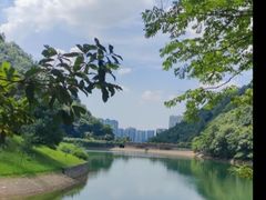-桃花岭景区