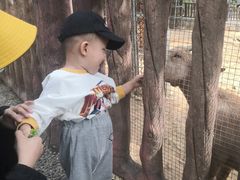 -石家庄市动物园