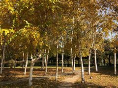 -长春公园(普阳街道)