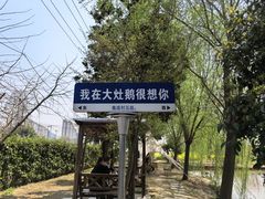 -大队长大灶鹅