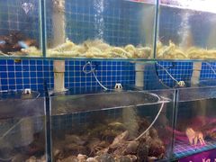 水产区-名超海鲜烧烤大排档