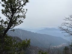 -王顺山国家森林公园