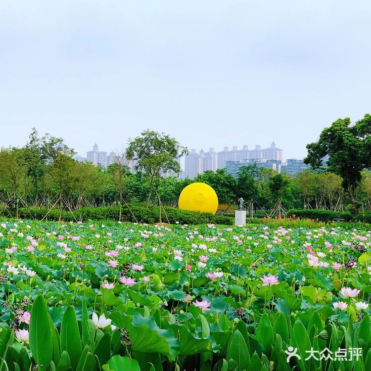 【顺德日记：顺峰山公园旅游攻略】