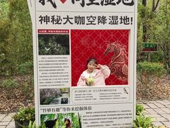 -同里国家湿地公园