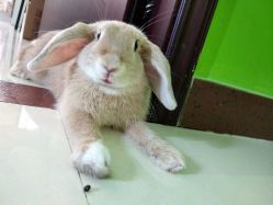 -润泽瑞尼丝医疗美容医院