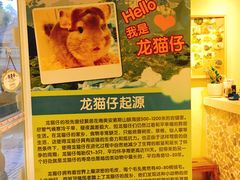 -龙猫仔乐园(惠福东路店)