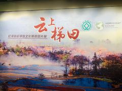 -南越王博物院(王宫展区)