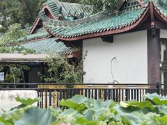 -桂湖森林公园