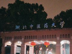 -湖北中医药大学(昙华林校区)