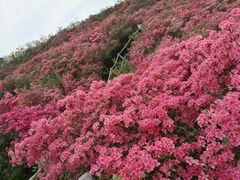 -木兰云雾山