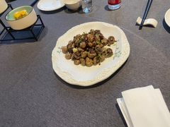 -羲和雅苑•北京烤鸭(平安国际金融中心店)