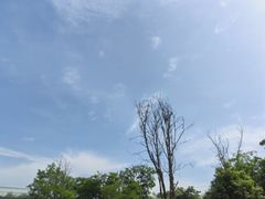 -白鹭湾湿地公园