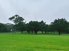-东莞植物园